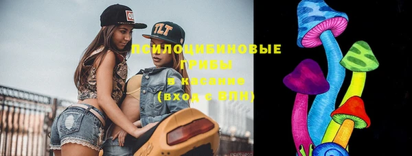 стафф Аркадак