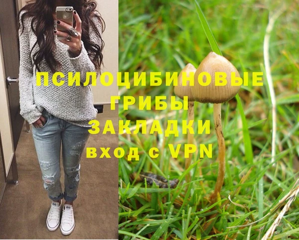 стафф Аркадак