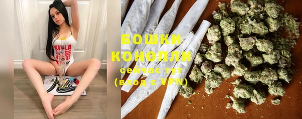 PSILOCYBIN Россошь