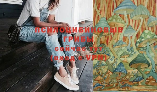 стафф Аркадак