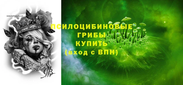 стафф Аркадак
