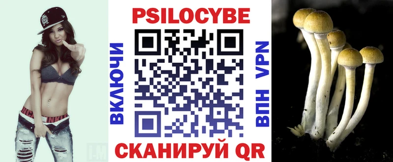 ссылка на мегу рабочий сайт  что такое   Палласовка  Псилоцибиновые грибы ЛСД 